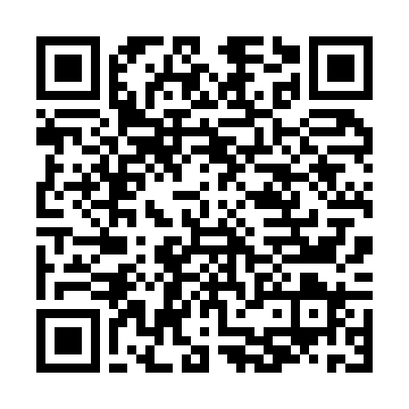QR code Chesstide - Brussels Fall Blitz 2026